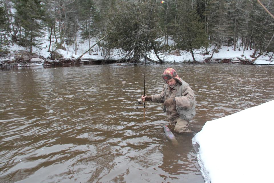 Using a forceps while the fish remains in the water, Ken Lundberg of Lake Nebagamon prepares to release a steelhead on the Brule River.