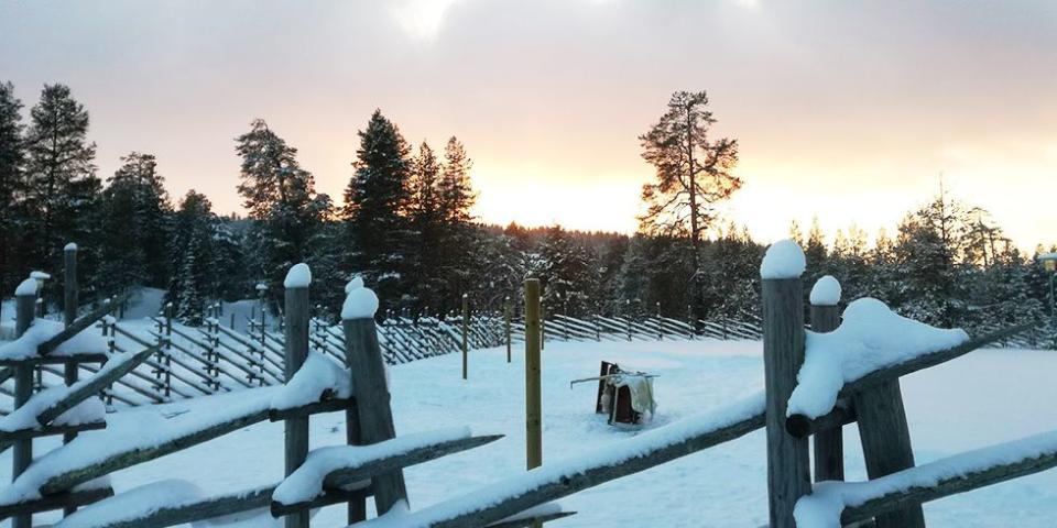 Saaranpaskantamasaari, Finland