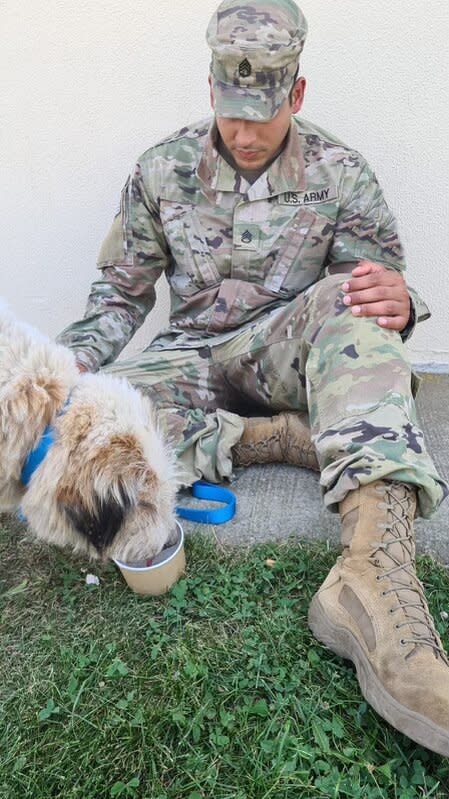 soldier working to rescue poisoned dog