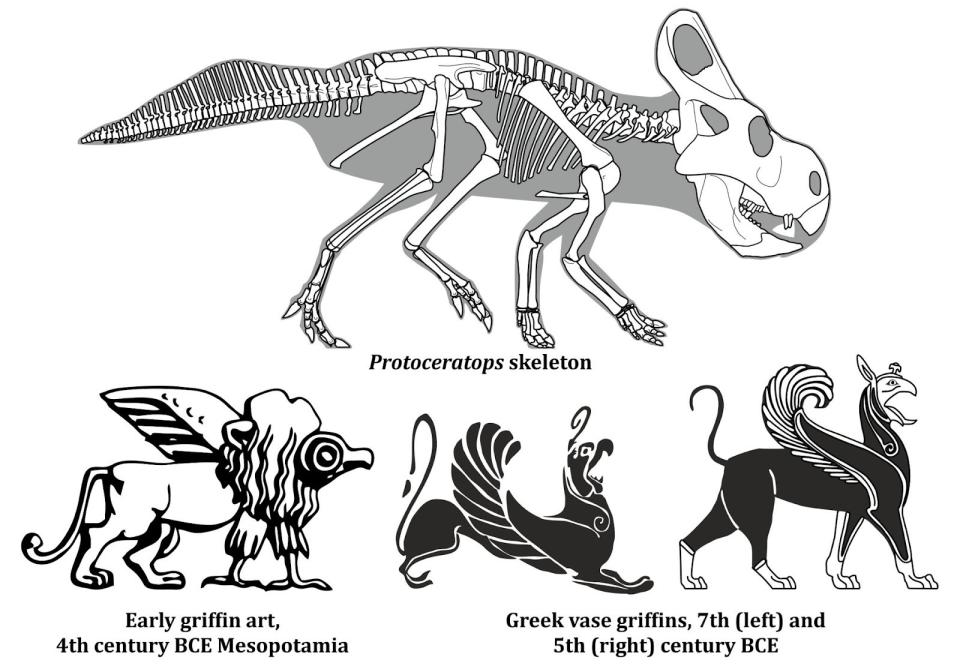 Comparison between griffins and Protoceratops