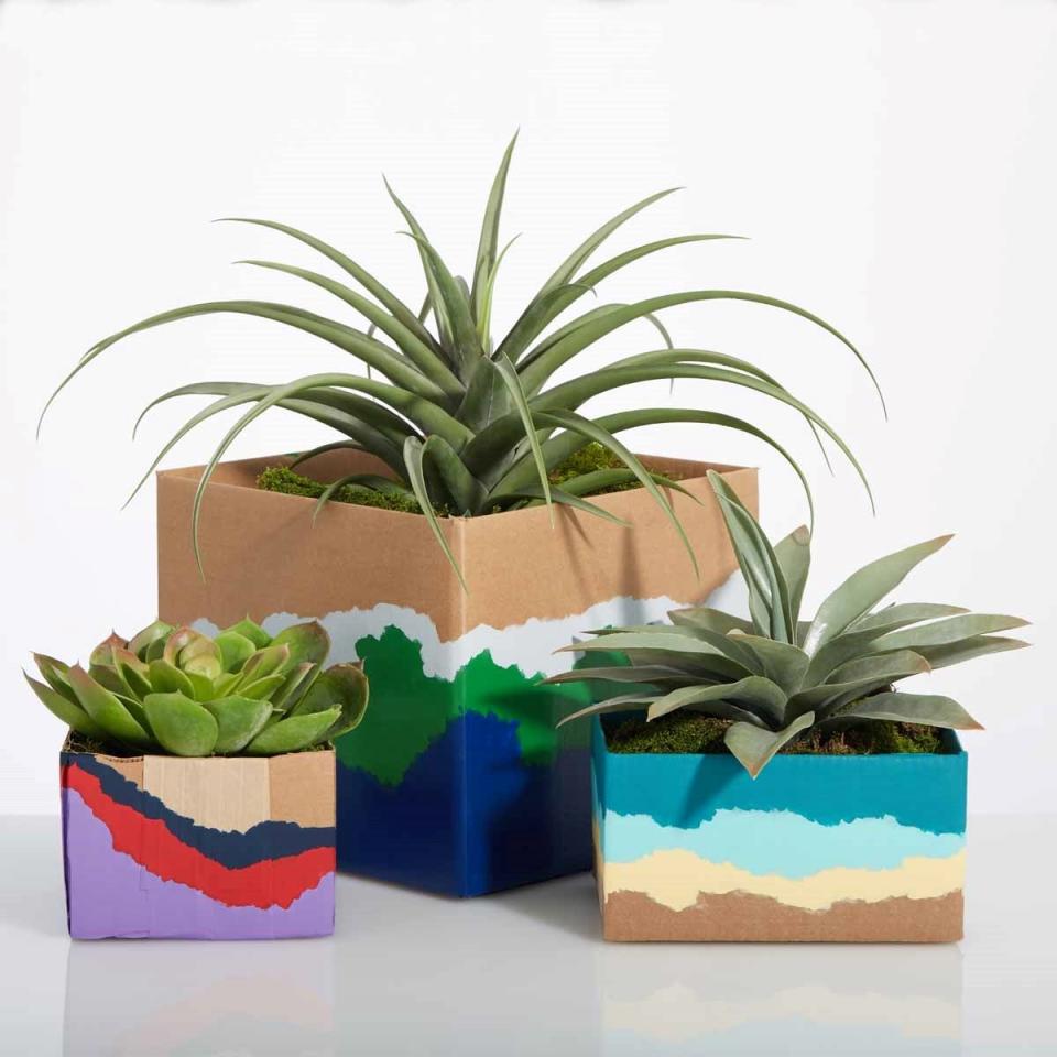 Succulents in painted planters made of cardboard.