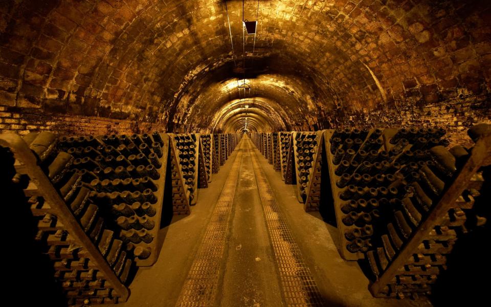 Wine cellar in Catalonia - Getty