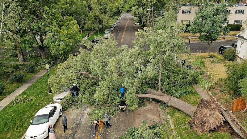 Volunteers remove a tree blocking a street in the Avenues in Salt Lake City on Tuesday, Sept. 8, 2020.