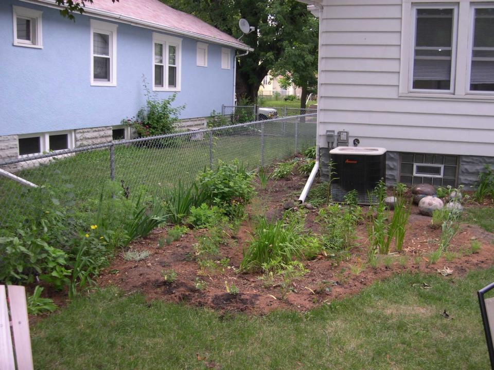 Rain garden in backyard