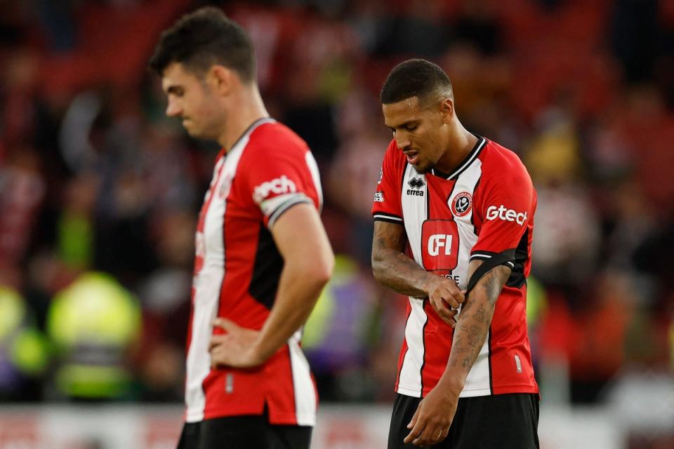 Sheffield United’s 8-0 loss to Newcastle epitomised the early struggles of the promoted clubs  (Action Images via Reuters)