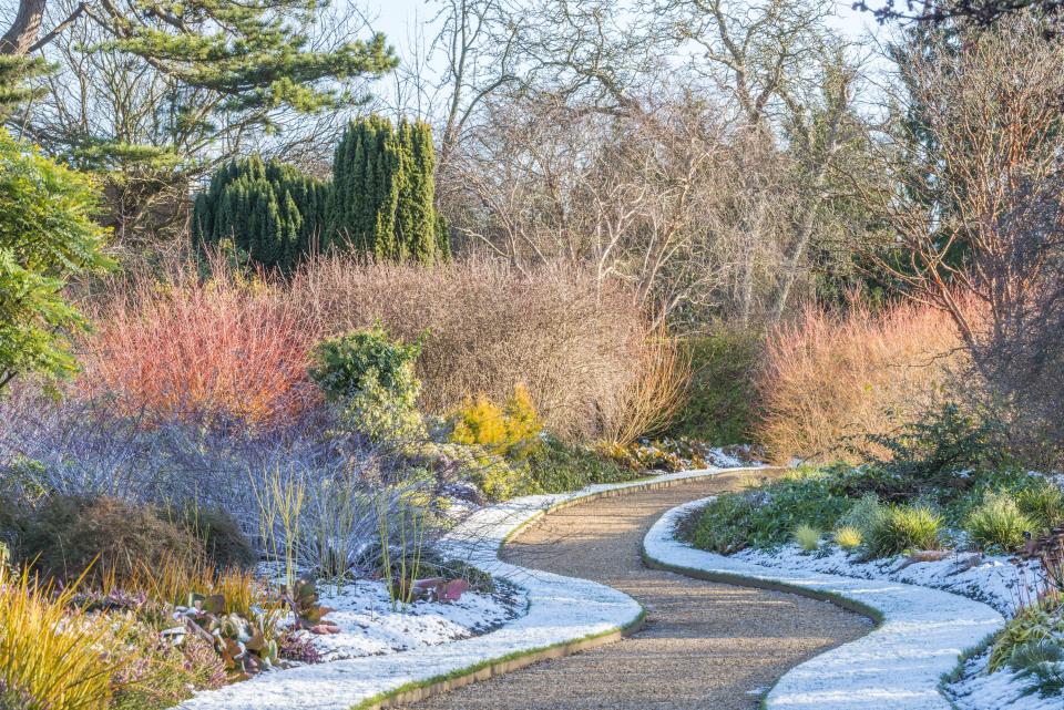 Cambridge University Botanic Garden, England