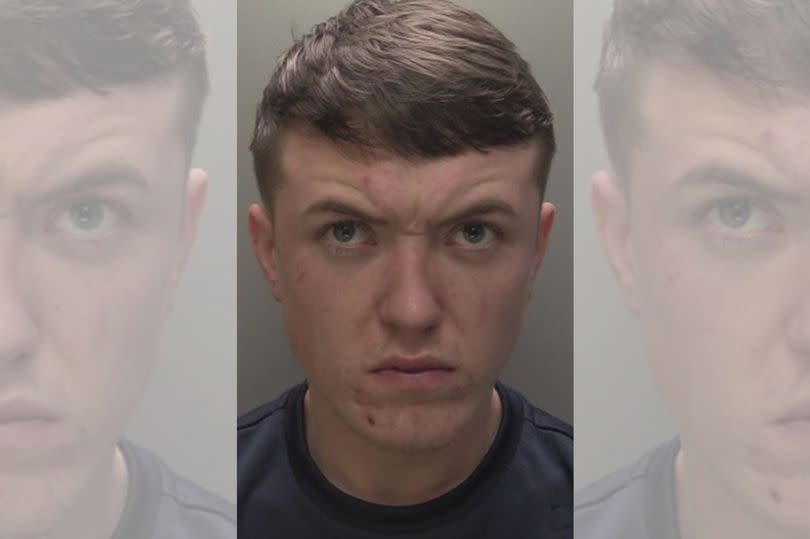 Keane Pyzer admitted assaulting a police officer, causing actual bodily harm, and causing unnecessary cruelty to a police dog. He also admitted threatening a person with an offensive weapon, using threatening words or behaviour, causing criminal damage and making off without paying a taxi fare