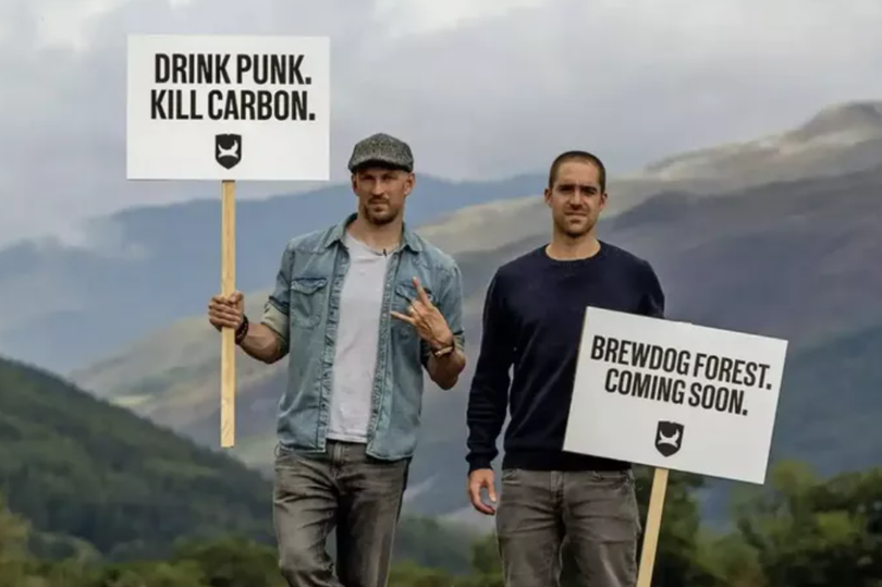 BrewDog's plan was left in tatters following the discovery over half of the planted trees had died (Image: BrewDog)