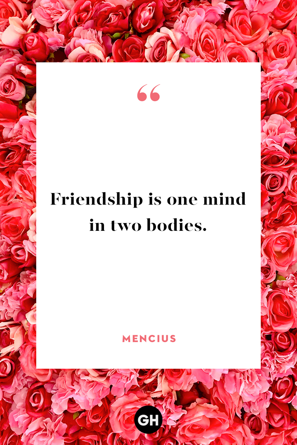 <p>Friendship is one mind in two bodies</p>