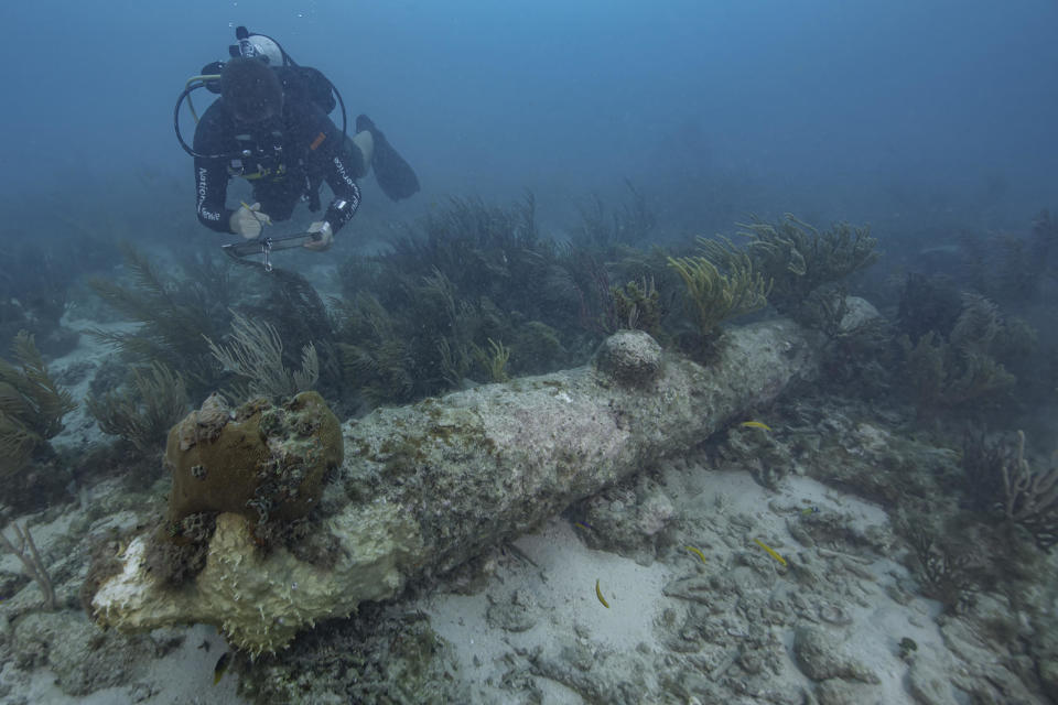 A National Park Service diver documents one of five coral-encrusted cannons found during a recent archeological survey in Dry Tortugas National Park / Credit: NPS Photo by Brett Seymour