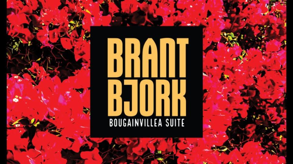 brant bjork bougainvillea suite