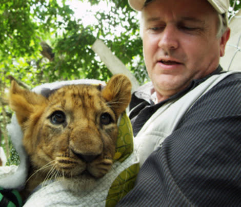 Tim Phillips with a lion cub in a scene from the 'Lion Ark' documentary.