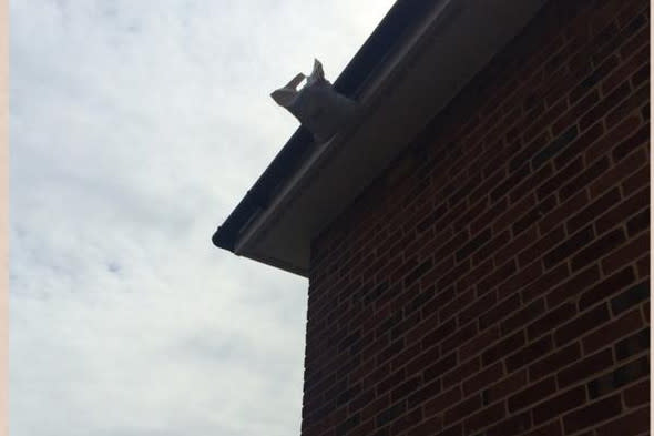 Parcel left on roof by courier