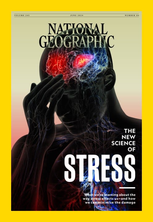 National Geographic cover photo of someone holding their brain.
