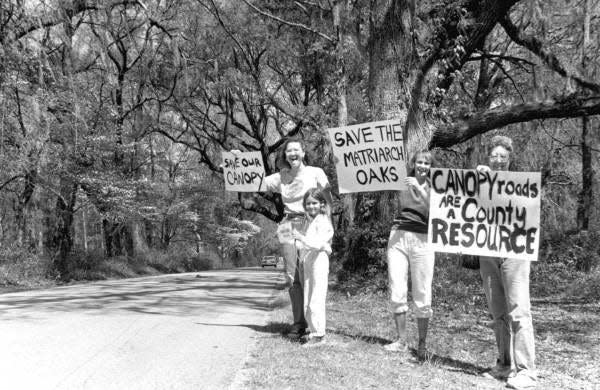 Protesters holding signs to save canopy oak tree on Miccosukee Road. The Committee to Protect a Few Trees was formed in 1985 to "stop destroying our canopy roads."