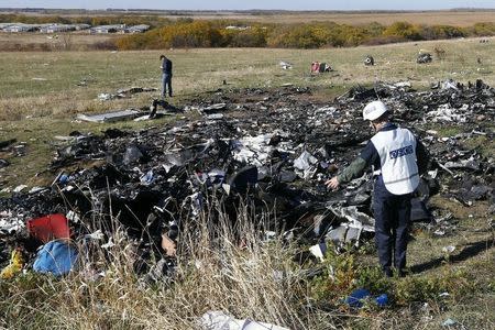 Members of the recovery team work at the site where the downed Malaysia Airlines flight MH17 crashed, near the village of Hrabove (Grabovo) in Donetsk region, eastern Ukraine, October 13, 2014. REUTERS/Shamil Zhumatov