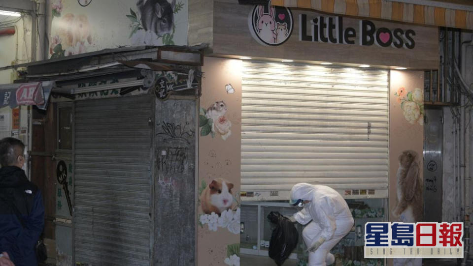 銅鑼灣寵物店Little Boss有店員和顧客確診。資料圖片