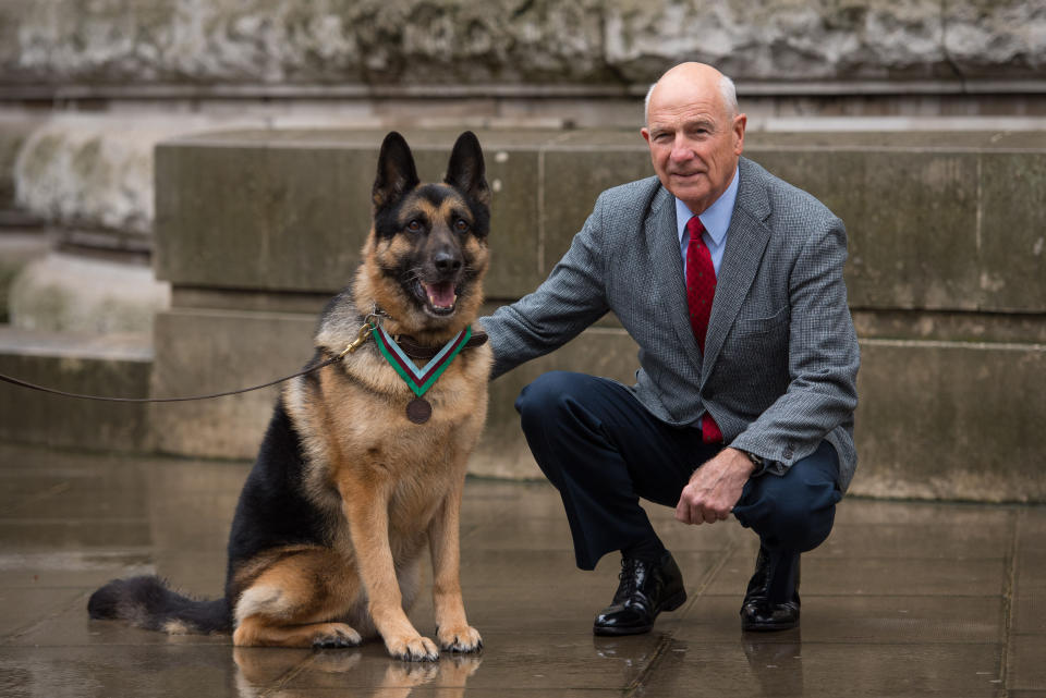 Army dog Chips receives PDSA Dickin medal
