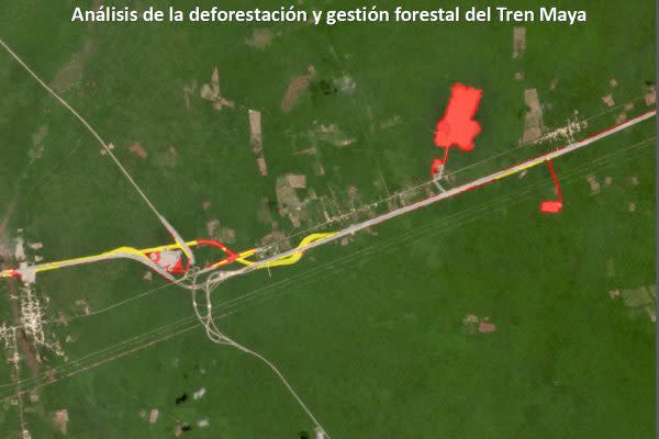 Las zonas en rojo muestran algunas de las áreas en donde se realizó tala sin contar con la autorización de cambio de uso de suelo. En las resaltadas con amarillo, sí había una autorización. Foto: CartoCrítica.