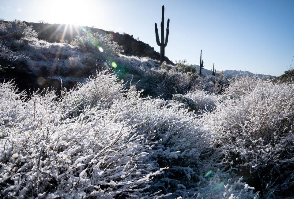 Snow in the desert on Feb. 15, 2023, northeast of Phoenix.