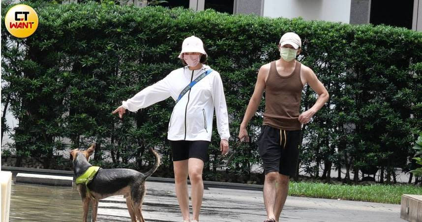 李國毅與老婆橘子帶著愛犬威廉一起散步，橘子的孕肚已經相當大，兩人即將升格當爸媽。（圖／攝影組）