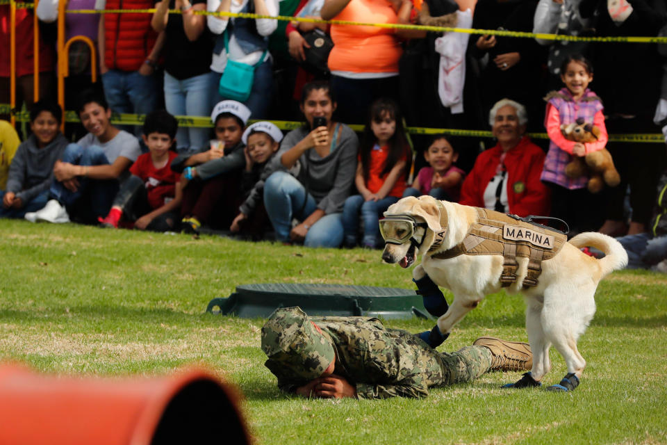 FOTOS: Así es como 'Frida' reconcilió a mexicanos con militares