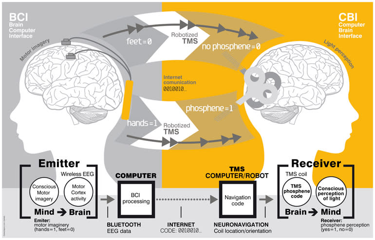 Brain-to-brain verbal communication in humans achieved for the first time