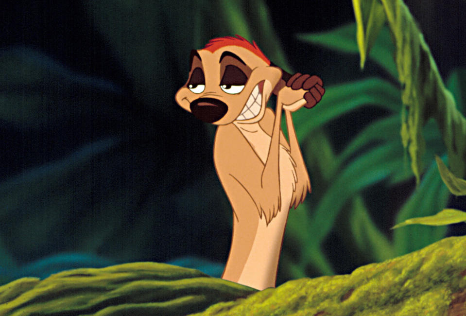 Timon in "The Lion King"