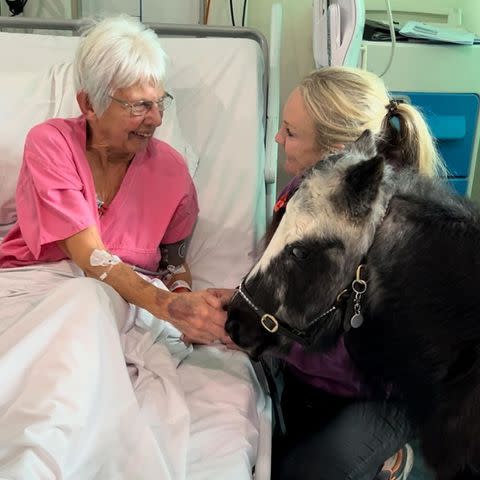 <p>Sarah Woodland</p> Sarah Woodland on a visit with one of her Dinky Ponies