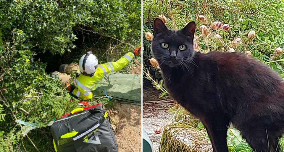 Piran the cat is pictured along with a rescuer going down an embankment.