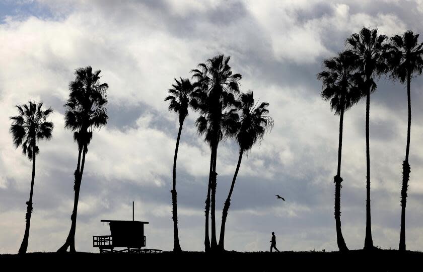 SAN PEDRO-CA-FEBUARY 7, 2024: A pedestrian enjoys a break in the rain at Cabrillo Beach in San Pedro, which has been closed due to millions of gallons of raw sewage spewing from sewer connections across Los Angeles County and flowing into coastal waters off Long Beach and San Pedro as a result of the heavy rains pummeling Southern California, on February 7, 2024. (Christina House / Los Angeles Times)