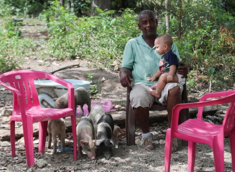 A man rests with a baby, next to a herd of piglets