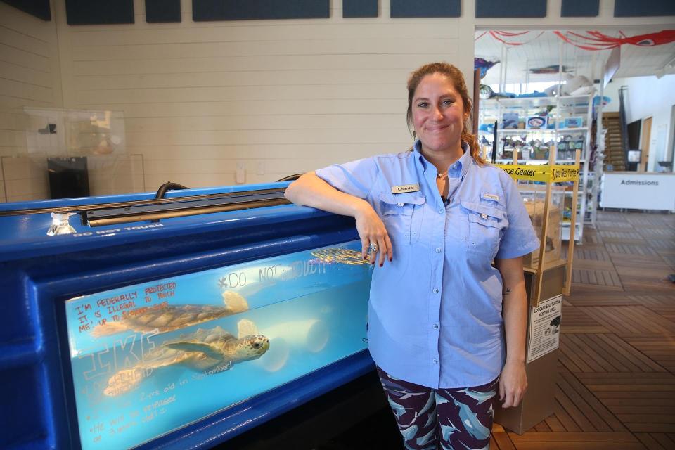 Chantal Audran, acting director Tybee Island Marine Science Center, stands near Ike a sea turtle currently being raised at the center.