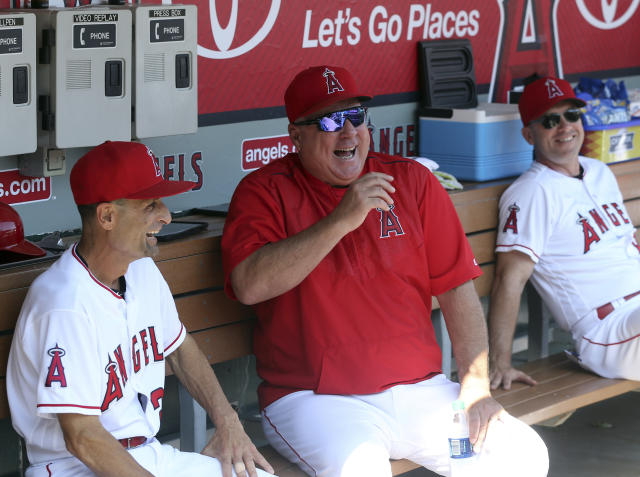 Mike Scioscia bids farewell as Angels manager after 19 years