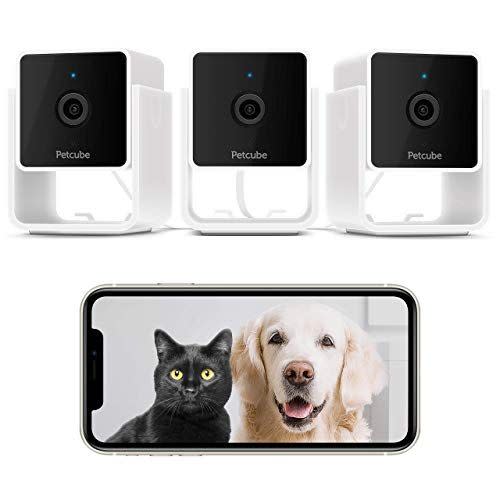 Petcube Pack of 3 Cam Pet Monitoring Camera