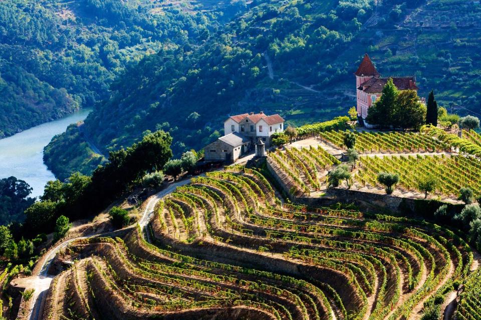 21) Douro Valley, Portugal