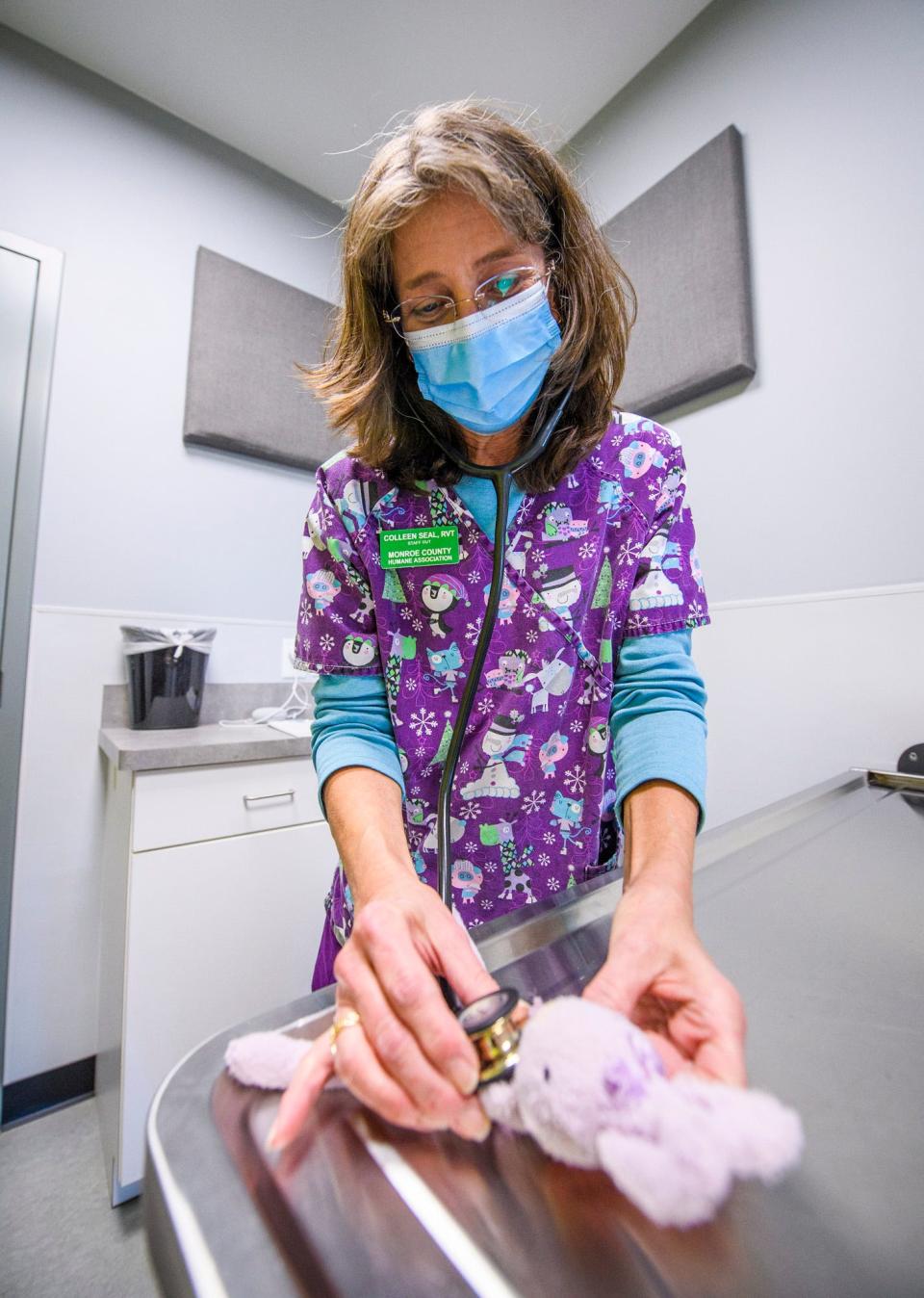 Colleen Seal, a registered veterinary technician, checks the heart and lungs of Ballerina Bunny Tuesday during an appointment at the Stuffy Repair Clinic.