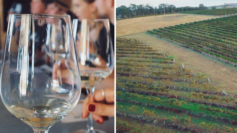 Some of Australia’s best wines can be found in NSW’s Wine Country. Source: Jessica Maggio