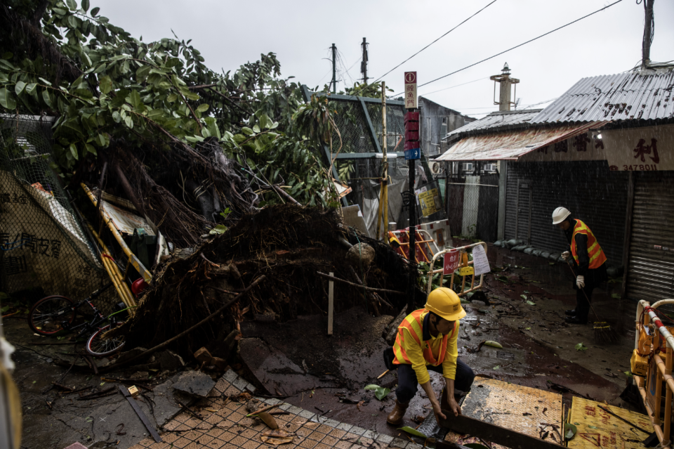 蘇拉襲港，當風的鯉魚門有大樹倒塌，工人忙於清理。（AFP）