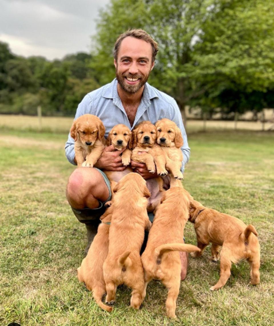 Middleton and his family say they want the harassment to stop (James Middleton/Instagram)