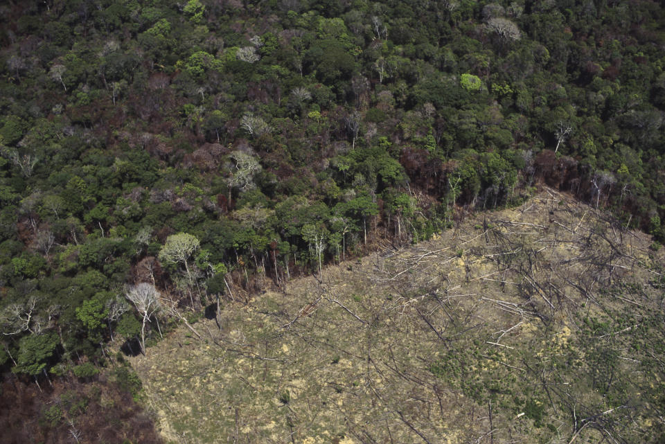 A view of Amazon rainforest clearance for agriculture