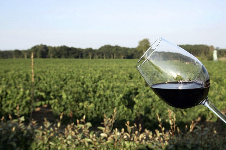 File photo shows a glass of red wine made at a vineyard in Leognan, southwestern France. Wine lovers around the world will have noticed their favourite tipples now come with increased alcohol levels, and experts say changing consumer tastes are responsible for driving the trend