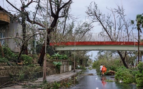 Trees block the streets after Hurricane Maria at Escambron Beach in San Juan, Puerto Rico - Credit: Pablo Pantoja/Anadolu Agency/Getty Images