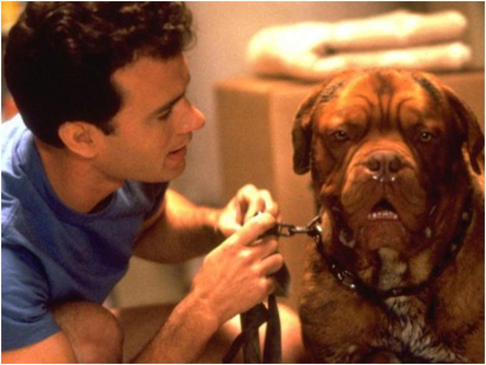 Tom Hanks Turner and Hooch