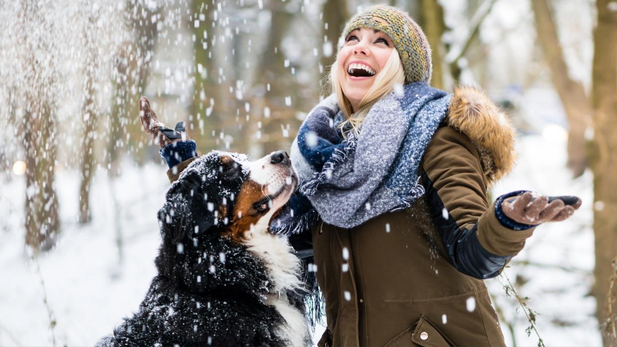  Woman with her faced turn toward the sky laughing with her Bernese Mountain Dog as they enjoy the snow falling. 