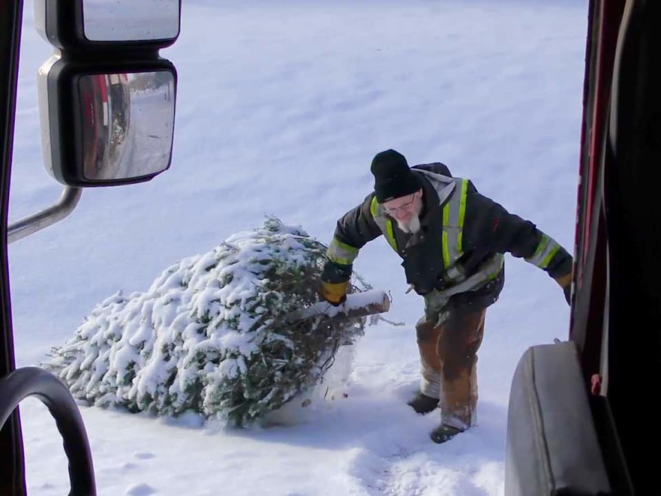 The annual Christmas tree collection started on Jan.10  (Pat Martel/CBC - image credit)