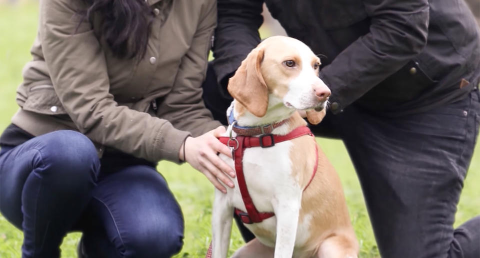 Nala the dog with her human parents.