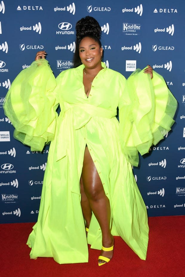 <p>Lizzo in Christopher John Rogers at the 2019 GLAAD Media Awards. </p>