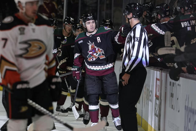 Arizona Coyotes to wear purple alternate jerseys for select games