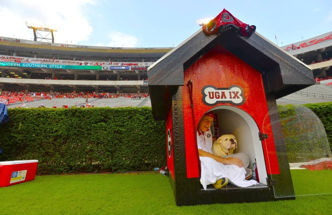 In September 2015, University of Georgia mascot Uga IX took cover with handler Charles Seiler during a lightning delay at a football game in Sanford Stadium.